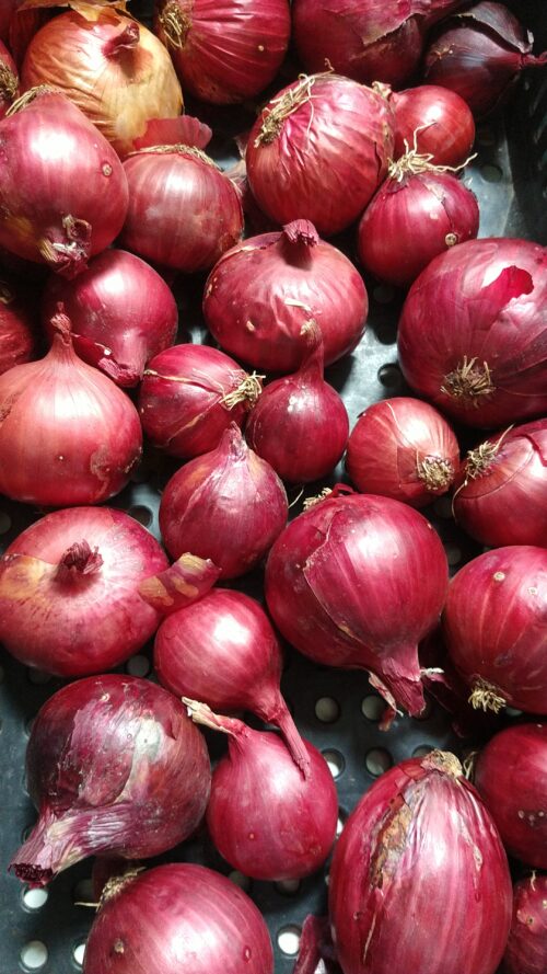 Cebola Roxa 500g SC