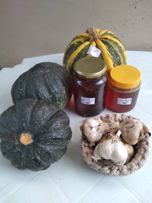 Abóbora JAPONESA INTEIRA Germinar Aprox 1 Kg