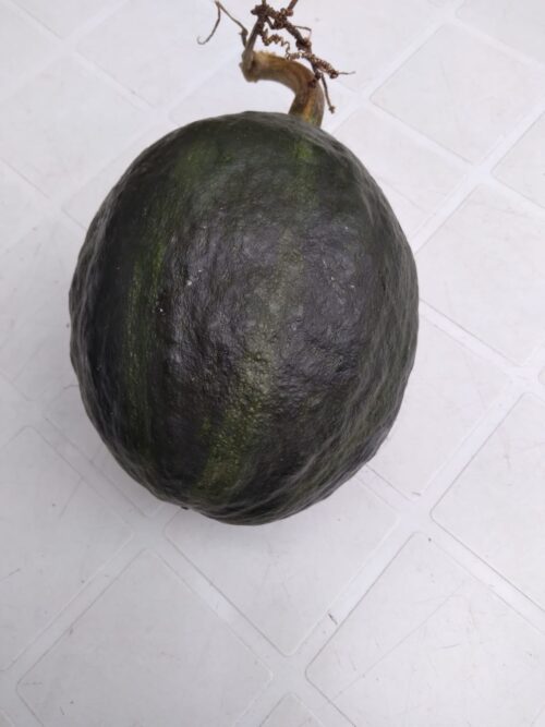 Abóbora Japonesa Fatiada #OS - Aprox 500 gr