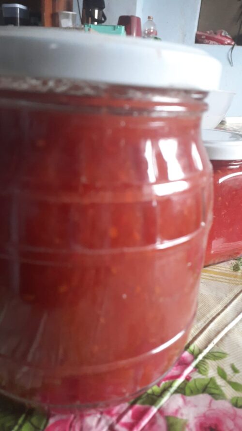 Molho de TOMATE 500g SC