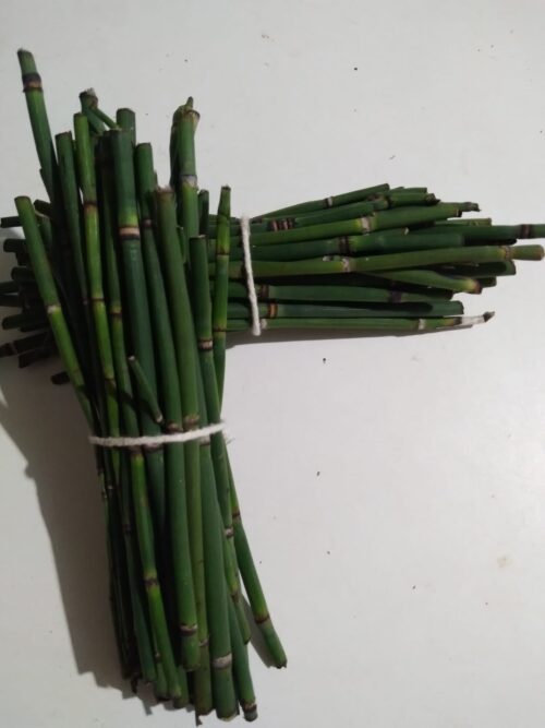 Chá de Cavalinha HM