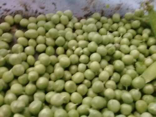 Ervilha debulhada 300g AM