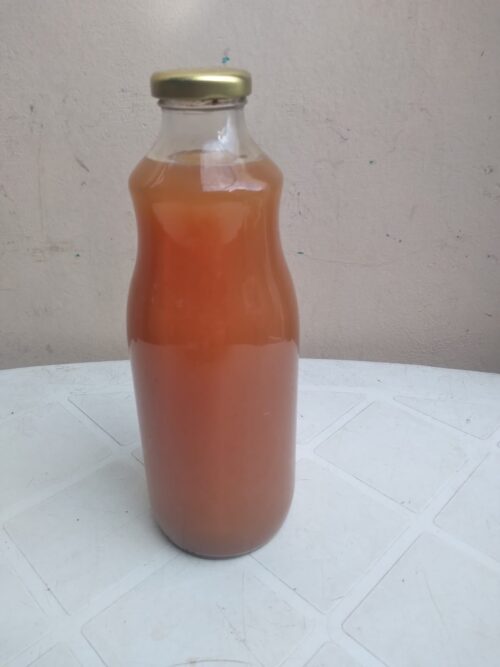 Suco de Pêssego litro SA