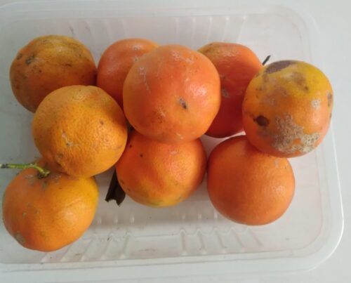 Limão 500g HM